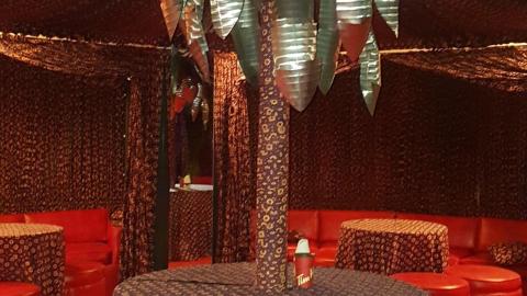 Discovery Pics - December 30, 2017 - 20180101-40.jpg