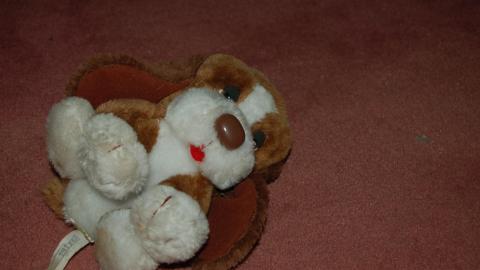 April 13th, 2012 - DSC_0057.JPG