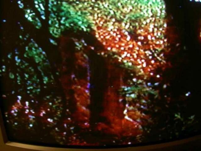 Forest Rangers TV Show Lot photo 3