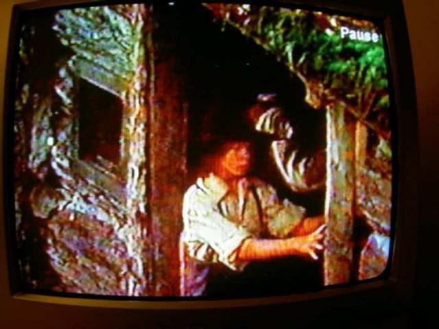 Forest Rangers TV Show Lot - Vaughan, Ontario