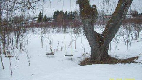 Gallery - Chelmsford-Red-House49.jpg