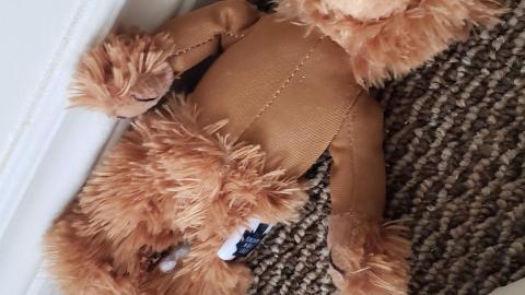 January 2019 - Exploring a Huge Abandoned House with a 4 Car Garage-13.jpg