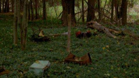 Halloween Witch Magic (2009) - Salems-Lot18.jpg