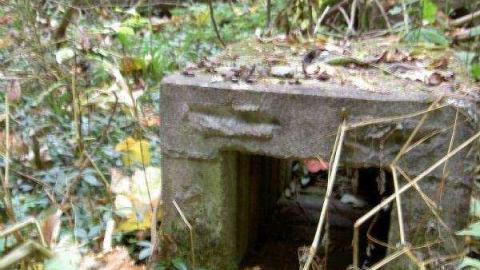 Halloween Witch Magic (2009) - Salems-Lot20.jpg