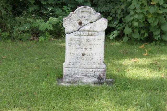 River Valley Pioneer Cemetary photo 4