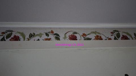 Photo from Board The Train. March 2022.