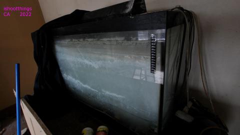 Board The Train. March 2022. - IMG_3391.JPG