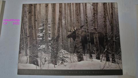 Board The Train. March 2022. - IMG_3424.JPG