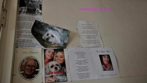 Board The Train. March 2022. - IMG_3465.JPG