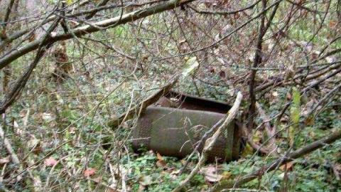 Halloween Witch Magic (2009) - Salems-Lot23.jpg