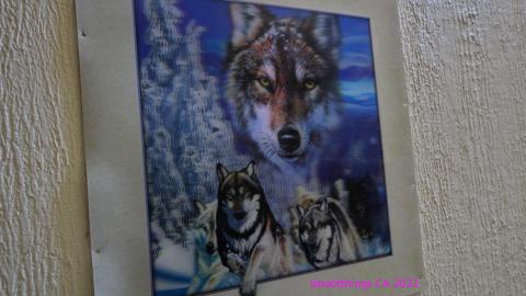 Board The Train. March 2022. - IMG_3480.JPG