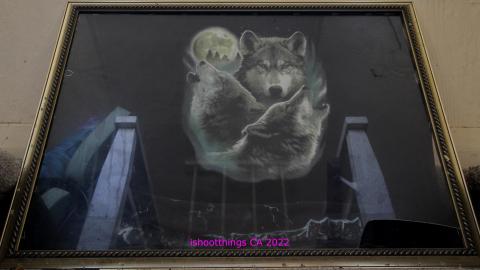 Board The Train. March 2022. - IMG_3484.JPG