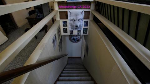 Board The Train. March 2022. - IMG_3487.JPG