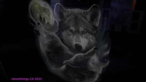 Board The Train. March 2022. - IMG_3503.JPG