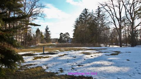 Board The Train. March 2022. - IMG_3548.JPG