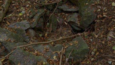 Halloween Witch Magic (2009) - Salems-Lot24.jpg