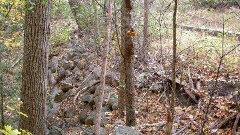 Halloween Witch Magic (2009) - Salems-Lot25.jpg