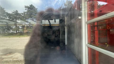 Abandoned campus - CE986339-F527-47FA-A3FC-377E890A5963.jpeg