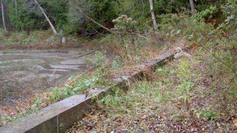 Halloween Witch Magic (2009) - Salems-Lot26.jpg