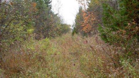 Halloween Witch Magic (2009) - Salems-Lot27.jpg