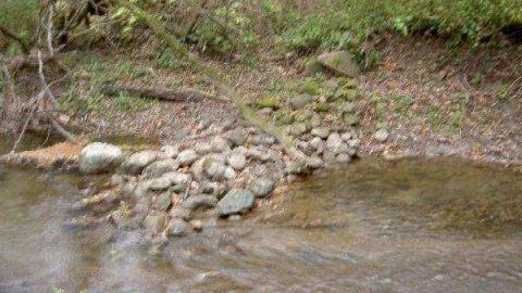 Halloween Witch Magic (2009) - Salems-Lot28.jpg