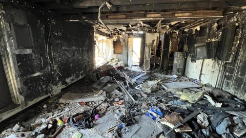 I Scream You Scream We All Scream For Fried Ice Cream - A7669EB7-E1E3-446B-A8FC-239E60FA138A.jpeg