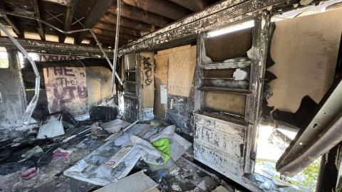 I Scream You Scream We All Scream For Fried Ice Cream - 600430B6-AC7E-4631-BD13-10BE8E5FB078.jpeg