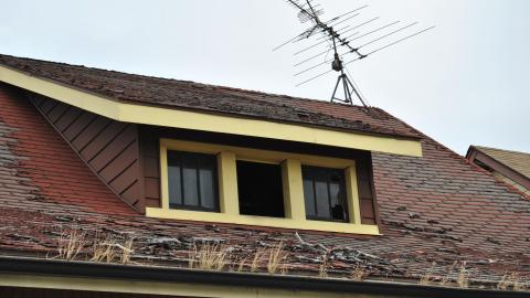 Death Row - November 2012 - DSC_0230.JPG