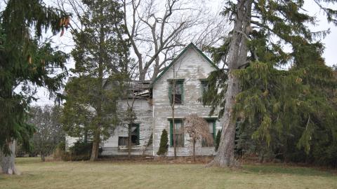 Third Strike, You're Out - November 2012 / May 2014 / March 2017 - DSC_0267.JPG