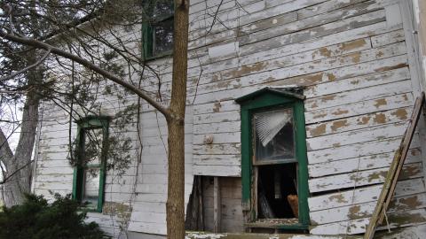 Third Strike, You're Out - November 2012 / May 2014 / March 2017 - DSC_0275.JPG