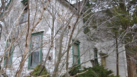 Third Strike, You're Out - November 2012 / May 2014 / March 2017 - DSC_0276.JPG