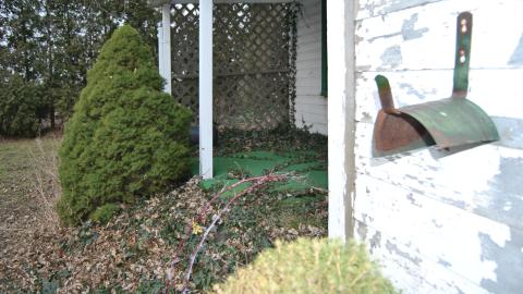 Third Strike, You're Out - November 2012 / May 2014 / March 2017 - DSC_0278.JPG