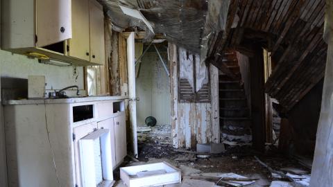 Third Strike, You're Out - November 2012 / May 2014 / March 2017 - DSC_0532.JPG