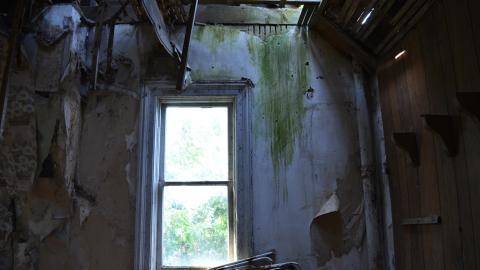 Third Strike, You're Out - November 2012 / May 2014 / March 2017 - DSC_0545.jpg