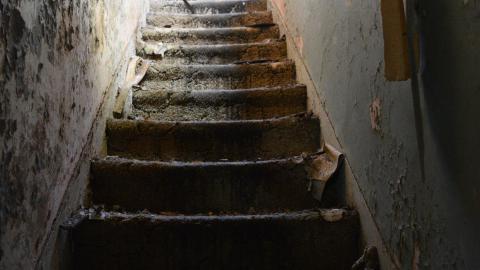 Third Strike, You're Out - November 2012 / May 2014 / March 2017 - DSC_0541.jpg