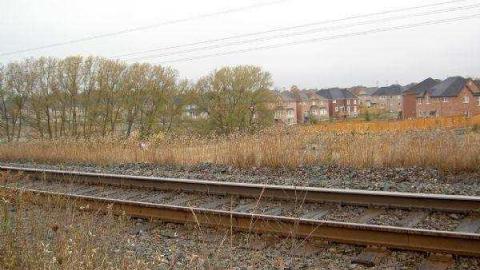 Halloween Witch Magic (2009) - Salems-Lot29.jpg