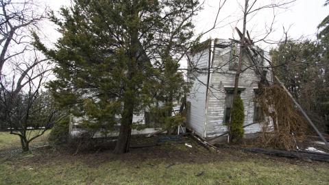 Third Strike, You're Out - November 2012 / May 2014 / March 2017 - DSC_0663.jpg