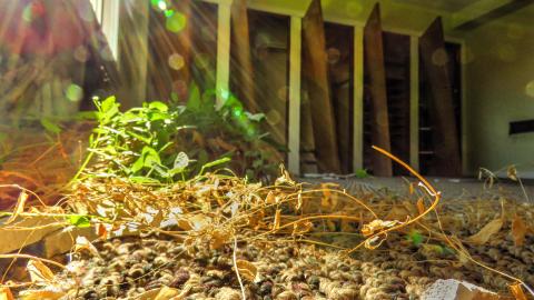 Homer's Last Stand photo 3