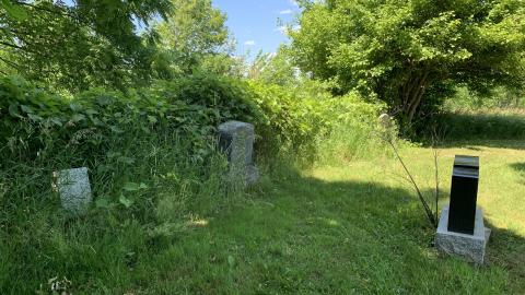 Deadman's Corner July 2022 - IMG_5122.JPG