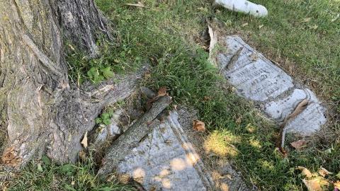 Deadman's Corner July 2022 - IMG_5124.JPG