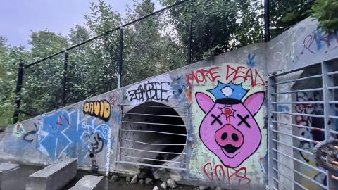 Graffiti galore - 25B5C081-DB73-478C-8F09-6DB83D52BC34.jpeg