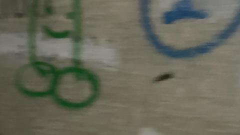 Graffiti galore - 639B080F-CA1D-48DE-BC0F-1D03822441A4.jpeg