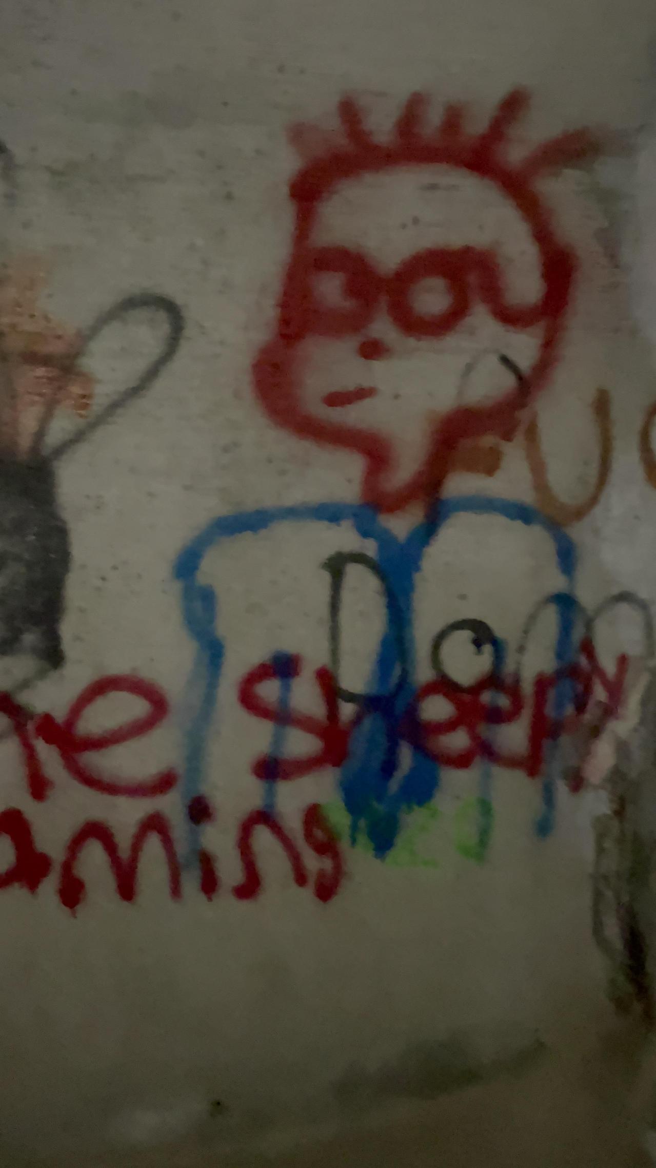 Graffiti galore - 51697E25-B522-49A1-ACE6-B93BD524FA48.jpeg