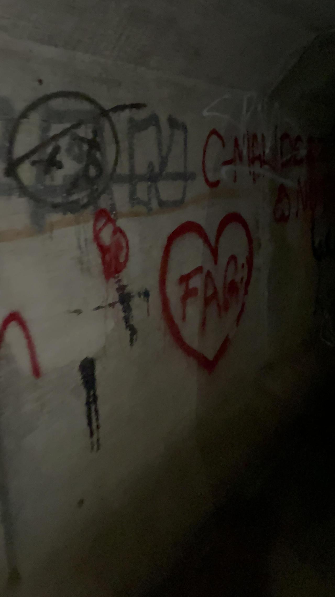 Graffiti galore - 5A792929-E9D8-49CD-BAD5-E5CA792FD66F.jpeg