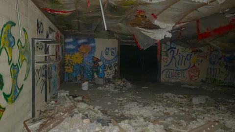 Taggers Paradise July 2022 - IMG_5069.JPG