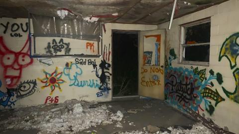 Taggers Paradise photo 2