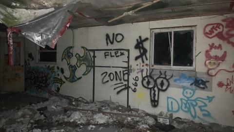 Taggers Paradise July 2022 - IMG_5073.JPG