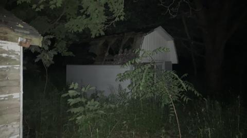 Taggers Paradise July 2022 - IMG_5084.JPG