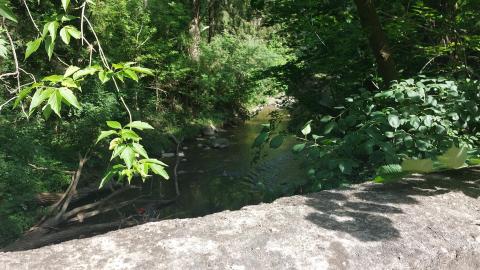 Photo from July 7th 2022