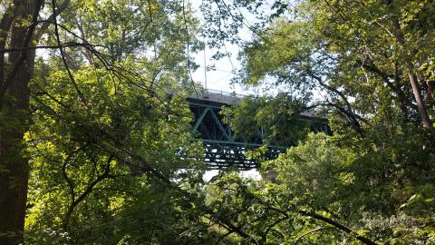 Photo from July 7th 2022